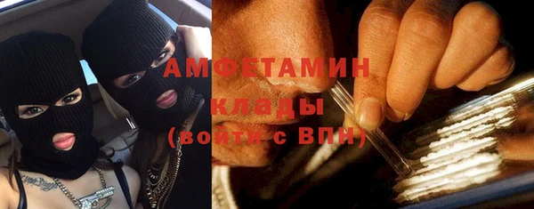 ПСИЛОЦИБИНОВЫЕ ГРИБЫ Гусев