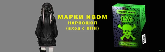 ПСИЛОЦИБИНОВЫЕ ГРИБЫ Гусев