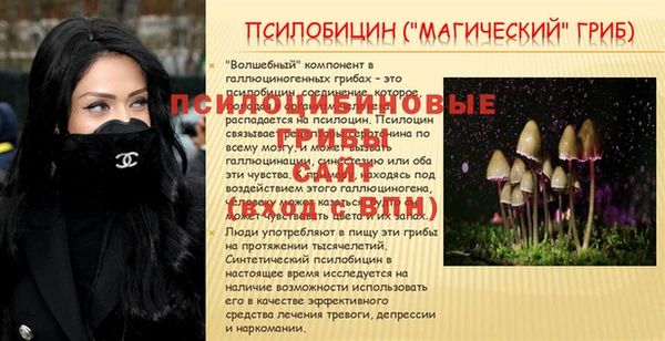 гидра Горно-Алтайск