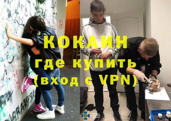гидра Горно-Алтайск