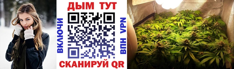 Купить закладки  Кимры  Бошки Шишки индика 